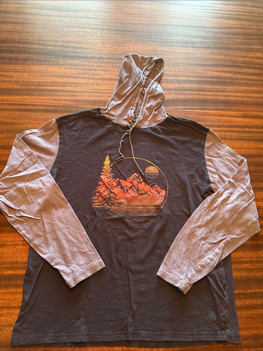 Boys Solaris Long Sleeve Hooded Tee with Mountain Graphic - Brown/Gray